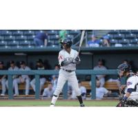 Jackson Generals infielder Jazz Chisholm