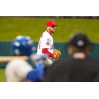 Memphis Redbirds LHP Austin Gomber