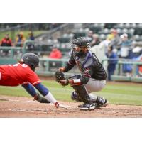 Eric Young, Jr. of the Tacoma Rainiers dives home against the Albuquerque Isotopes