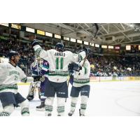 Florida Everblades celebrate against the Orlando Solar Bears