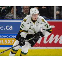 Defenseman Alec Regula with the London Knights