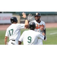 Long Island Ducks congratulate David Washington on his home run