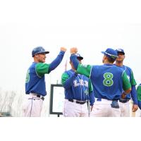 Lexington Legends manager Brooks Conrad delivers fist bumps