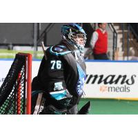 Rochester Knighthawks goalie Warren Hill