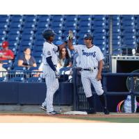 Isiah Gilliam and Kevin Mahoney of the Tampa Tarpons exchange a high five