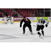 Vancouver Giants right wing Lukas Svejkovsky (right) chases the Moose Jaw Warriors