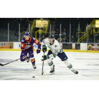 Florida Everblades left wing Tanner Jeannot vs. the Norfolk Admirals