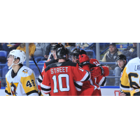 Binghamton Devils celebrate a goal vs. the Wilkes-Barre/Scranton Penguins