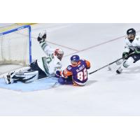 Florida Everblades goaltender Cam Johnson lays out for a save against the Orlando Solar Bears