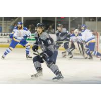Pensacola Ice Flyers assistant captain Brett D'Andrea