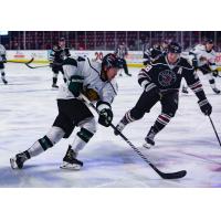 Utah Grizzlies vs. the Rapid City Rush