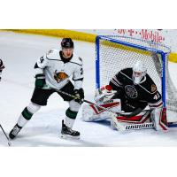 Utah Grizzlies vs. the Rapid City Rush