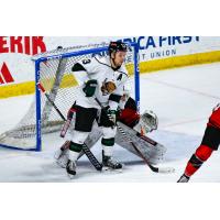 Utah Grizzlies set up in front of the net