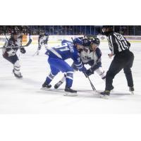 Tulsa Oilers face off with the Wichita Thunder