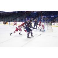 Tulsa Oilers left wing Danny Moyniham against the Allen Americans