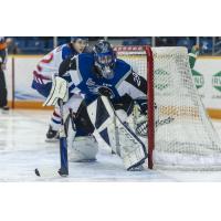 Sea Dogs goaltender Noah Patenaude