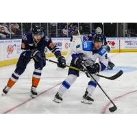 Greenville Swamp Rabbits forward Matt Wedman (left) vs. the Jacksonville IceMen