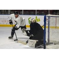 Utah Grizzlies forward Diego Cuglietta