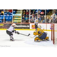 Charlottetown Islanders forward Cedric Desruisseaux