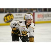 Forward Trey Bradley with the Newfoundland Growlers