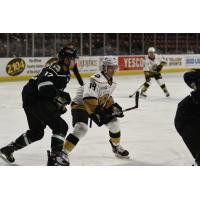 Forward Trey Bradley with the Newfoundland Growlers