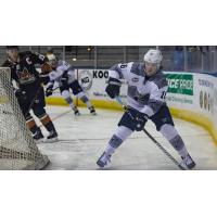 Pensacola Ice Flyers Defenseman Jake Howie