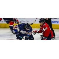 South Carolina Stingrays forward Caleb Herbert (right) vs. the Jacksonville IceMen