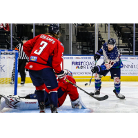 Jacksonville IceMen forward Derek Lodermeier fires a shot against the South Carolina Stingrays