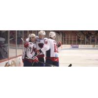 South Carolina Stingrays celebrate a goal