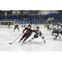 Odessa Jackalopes battle the Lone Star Brahmas