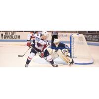 South Carolina Stingrays forward Mason Morelli