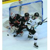 Wheeling Nailers forward Matt Alfaro in front of the Indy Fuel net