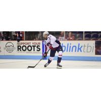 South Carolina Stingrays in action