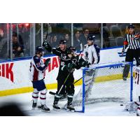 Utah Grizzlies celebrate a goal against the Tulsa Oilers