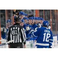 Gordie Green of the Wichita Thunder celebrates a goal with the bench