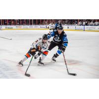 Wichita Thunder defenseman Vincent Desharnais (right)