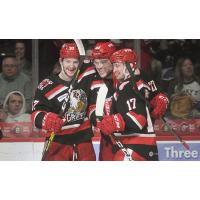 Grand Rapids Griffins celebrate a goal