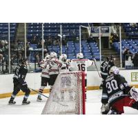 Odessa Jackalopes react after a goal against the Shreveport Mudbugs