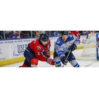 South Carolina Stingrays defenseman Macoy Erkamps (left) battles the Jacksonville Icemen