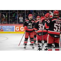 Grand Rapids Griffins lineup