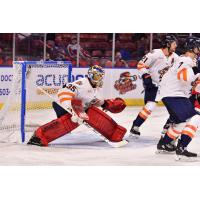 Greenville Swamp Rabbits goaltender Ryan Bednard