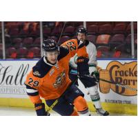 Greenville Swamp Rabbits defenseman Jack Sadek