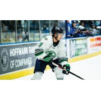 Florida Everblades forward Patrick Harper