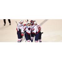 South Carolina Stingrays celebrate a goal