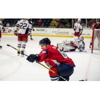 Forward Danick Martel with the Springfield Thunderbirds