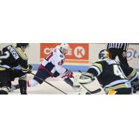 South Carolina Stingrays forward Caleb Herbert vs. the Wheeling Nailers