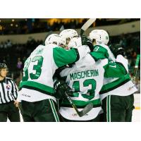 Texas Stars celebrate after a goal