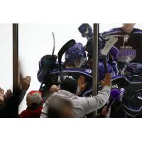 Tri-City Storm celebrate a goal along the boards