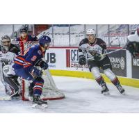 Vancouver Giants right wing Dallon Wilton behind the Kamloops Blazers net
