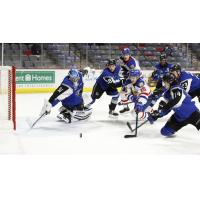 Saint John Sea Dogs goaltender Zachary Emond vs. the Moncton Wildcats
